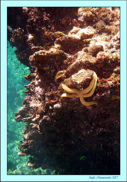 2012 - 03 - Koh Ha 37